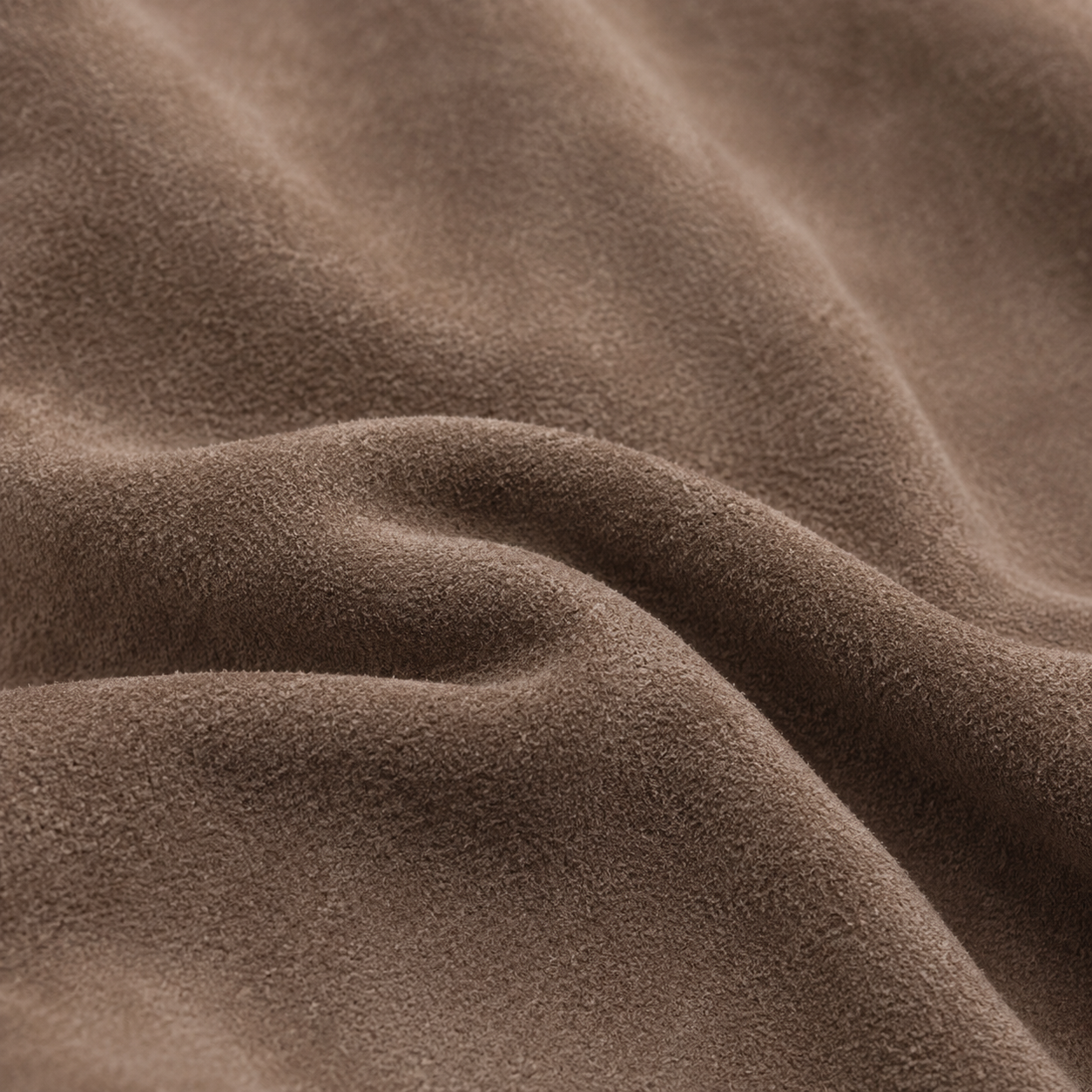 Siena Maison